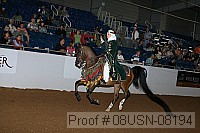 08usn-08194 proof