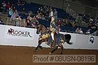 08usn-08196 proof