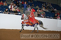 08usn-08202 proof