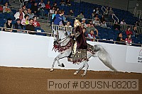 08usn-08203 proof