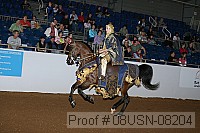 08usn-08204 proof