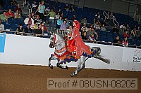 08usn-08205 proof