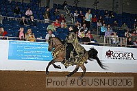 08usn-08206 proof