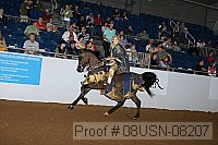 08usn-08207 proof