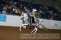 08usn-08208 proof
