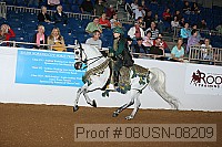 08usn-08209 proof