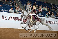 08usn-08213 proof