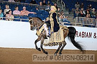 08usn-08214 proof