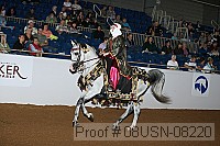 08usn-08220 proof