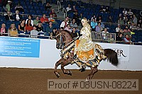 08usn-08224 proof