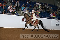08usn-08225 proof