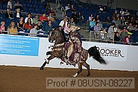 08usn-08227 proof