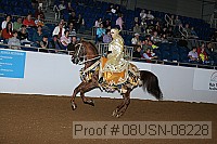 08usn-08228 proof