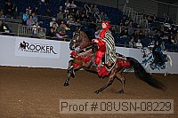 08usn-08229 proof