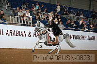 08usn-08231 proof