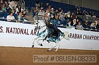 08usn-08233 proof