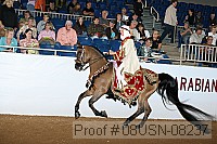 08usn-08237 proof