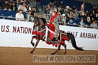 08usn-08238 proof