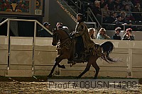 08usn-14208 proof