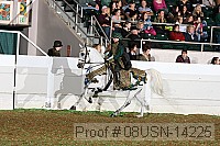 08usn-14225 proof