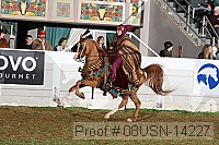 08usn-14227 proof