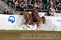 08usn-14228 proof