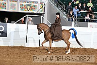 08usn-08821 proof