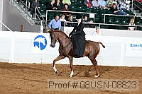 08usn-08823 proof