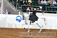 08usn-08826 proof