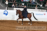 08usn-08827 proof