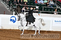 08usn-08833 proof