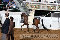08usn-08852 proof