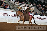 08usn-08906 proof