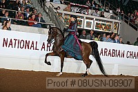 08usn-08907 proof