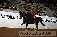 08usn-08911 proof