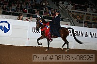08usn-08925 proof