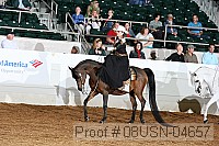 08usn-04657 proof