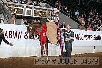 08usn-04679 proof