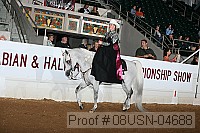 08usn-04688 proof