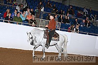 08usn-01397 proof