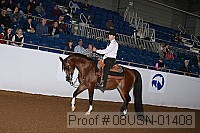 08usn-01408 proof