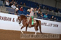08usn-01417 proof