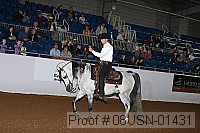 08usn-01431 proof