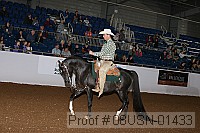 08usn-01433 proof