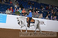 08usn-01441 proof