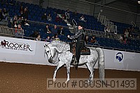 08usn-01493 proof