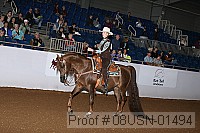 08usn-01494 proof