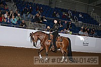 08usn-01495 proof