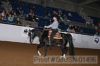 08usn-01496 proof