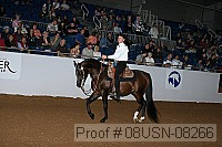 08usn-08266 proof